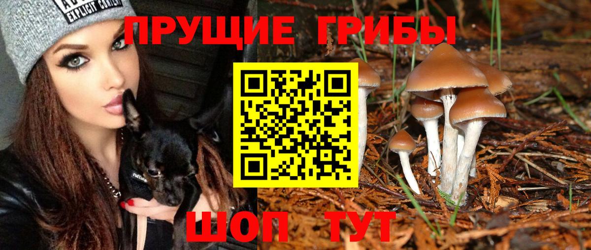 Псилоцибиновые грибы MAGIC MUSHROOMS  Вход с VPN  Батайск 