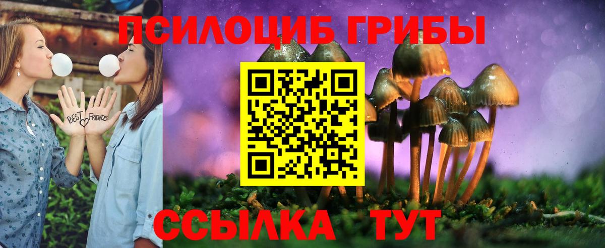 Псилоцибиновые грибы мицелий Батайск